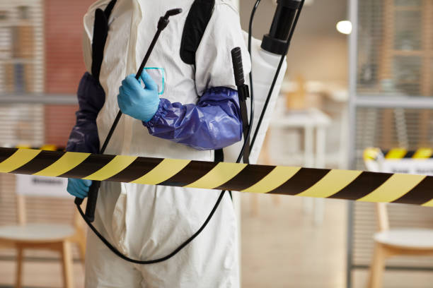Professional Sewage Cleanup technician working in Wentworth, NH